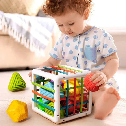 Box - Educational Box