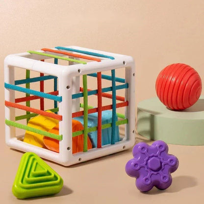 Box - Educational Box