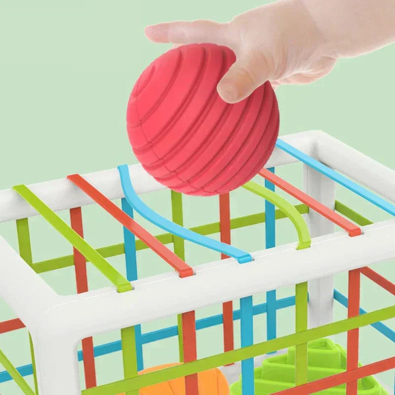 Box - Educational Box
