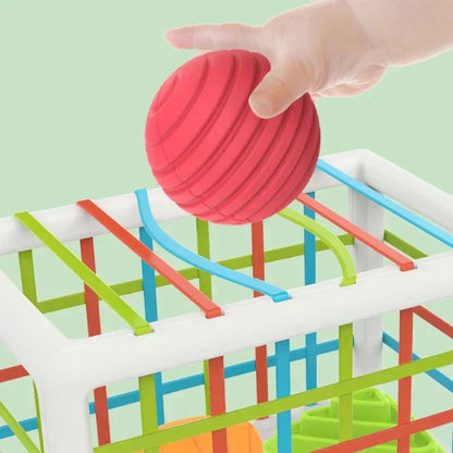 Box - Educational Box