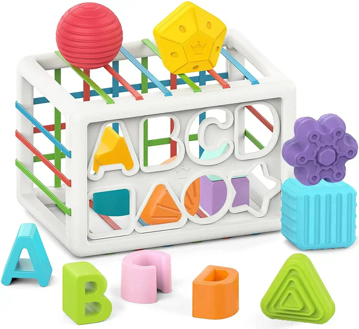 Box - Educational Box