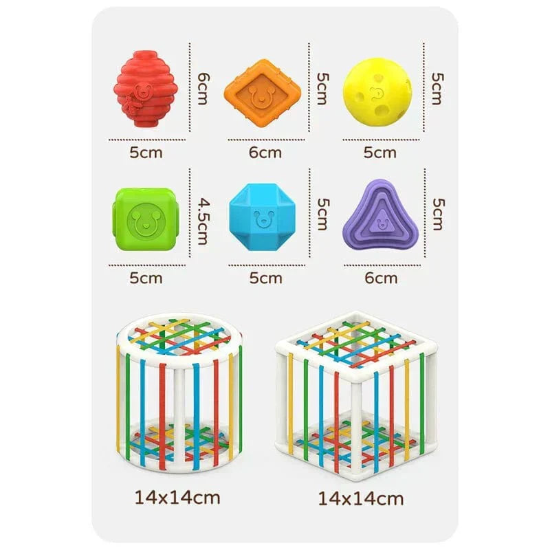Box - Educational Box