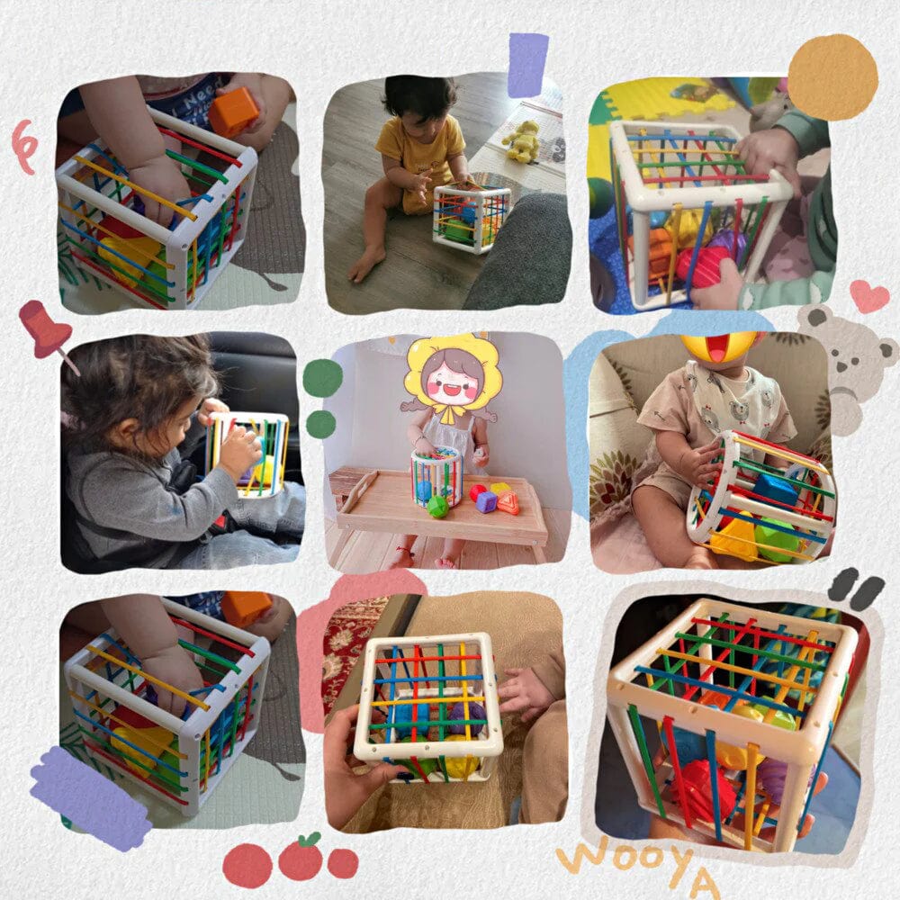 Box - Educational Box
