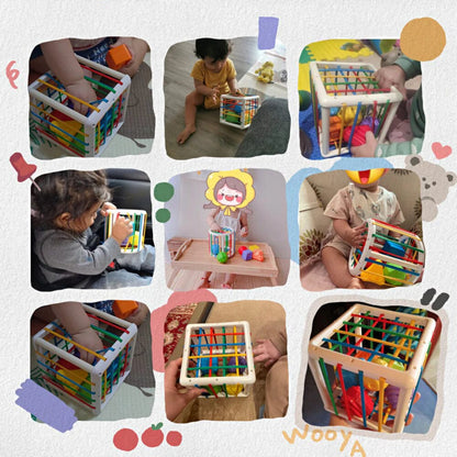 Box - Educational Box